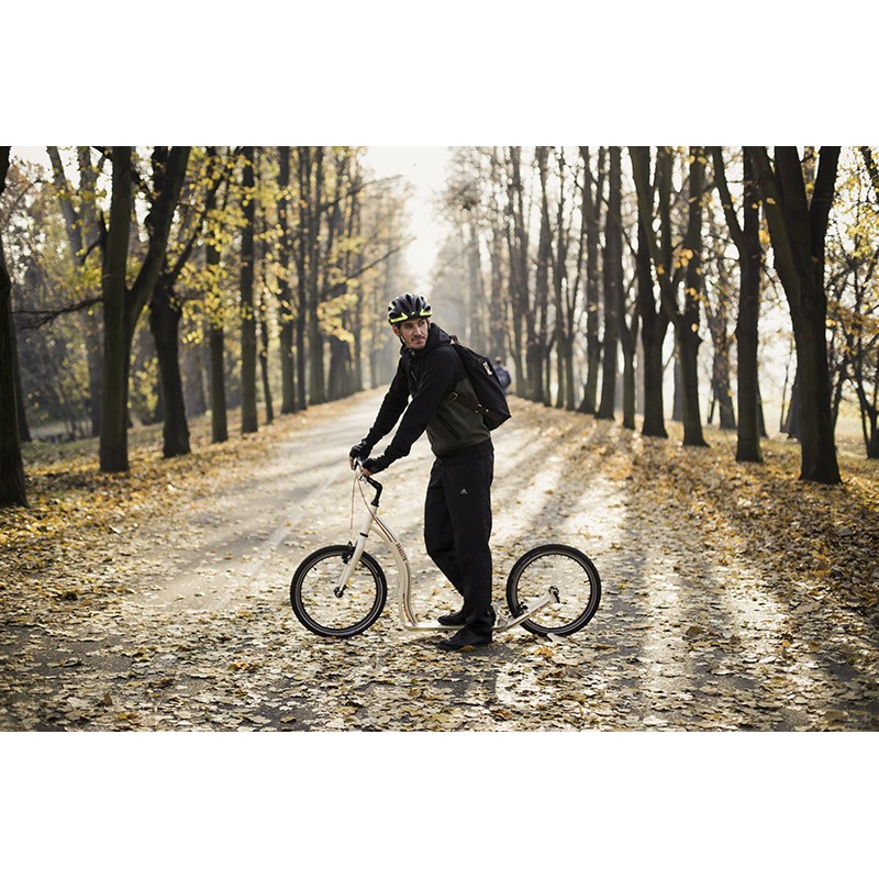 Adult Scooter YEDOO DRAGSTR 20/20 BLACK