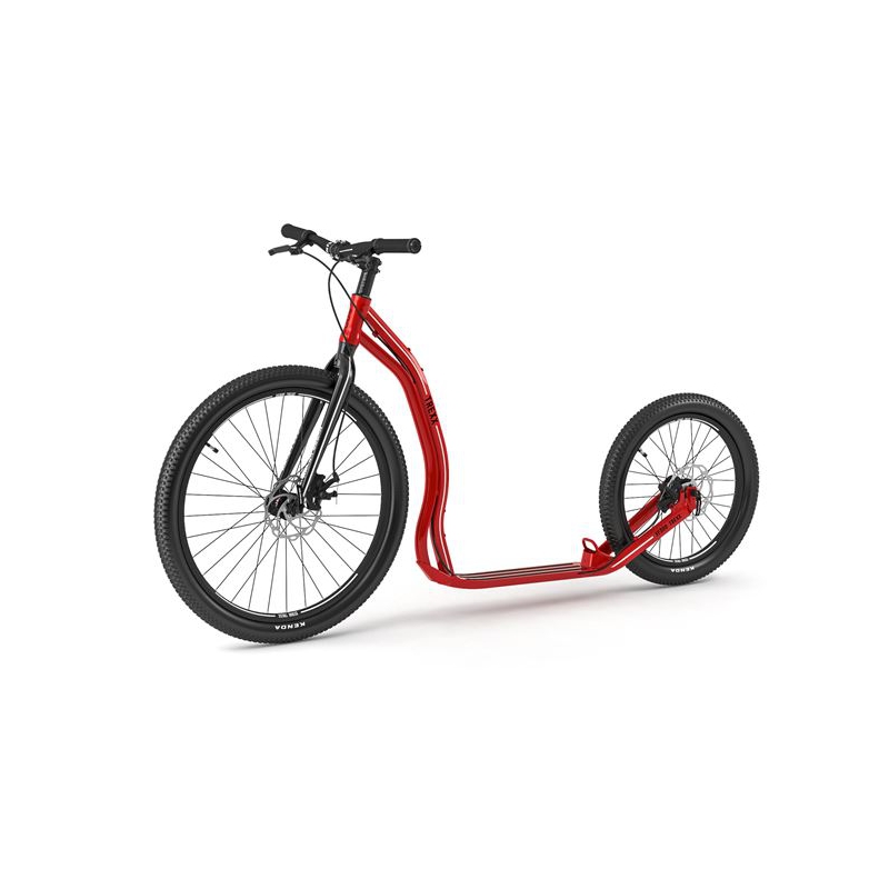 Sport Scooter DogScooter Yedoo Trexx disc RED