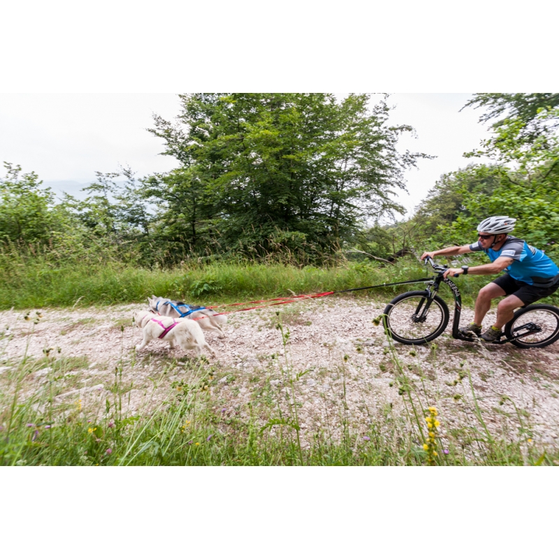 NEEWA - DOG RACING TUG LINE 200 CM - Red