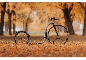 Kickbike Sport Max Silver - Stepshop.nl Kickbike Sport Max Silver - Stepshop.nl