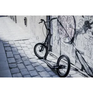 Scooter for adults Yedoo S1616 Black