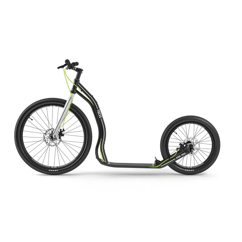 Sport scooter adults Yedoo Trexx disc black