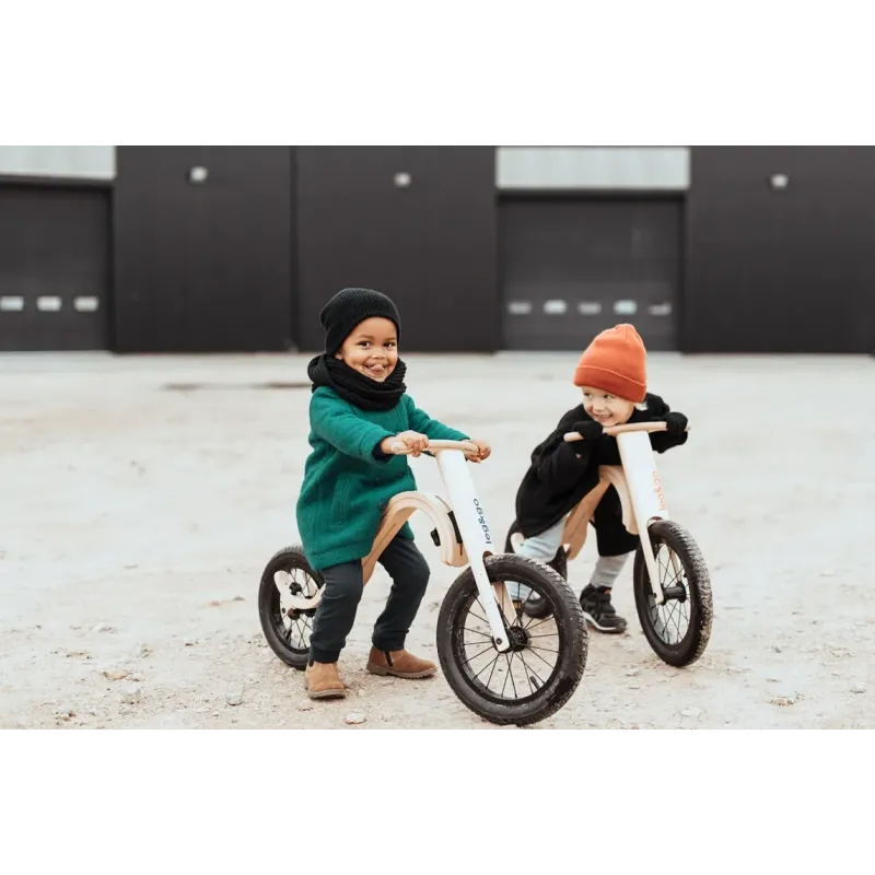 LEG and GO Balance Bike 3 in 1