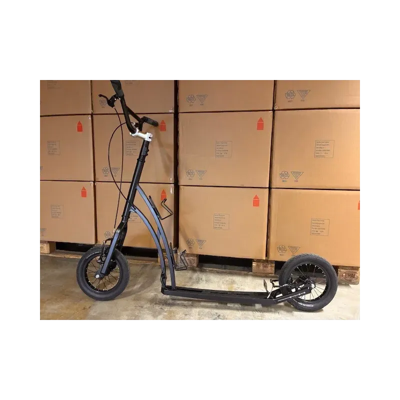 Efstedentocht scooter 12 inch