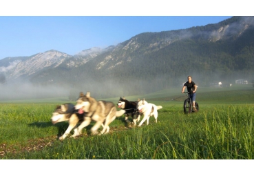 KICKBIKE FATMAX 26/20 Schwarz KICKBIKE FATMAX 26/20 Schwarz