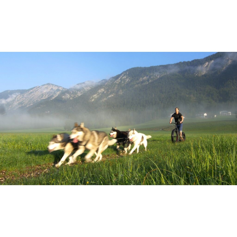 KICKBIKE FATMAX 26/20 Schwarz KICKBIKE FATMAX 26/20 Schwarz